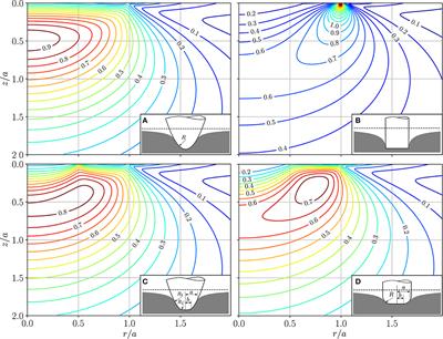 Stress Tensor and Gradient of Hydrostatic Pressure in the Half-Space Beneath Axisymmetric Bodies in Normal and Tangential Contact